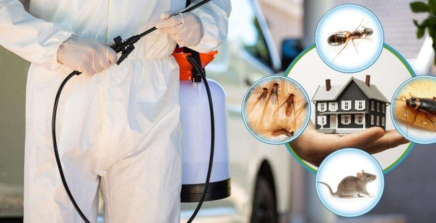 Hocalar Böcek İlaçlama