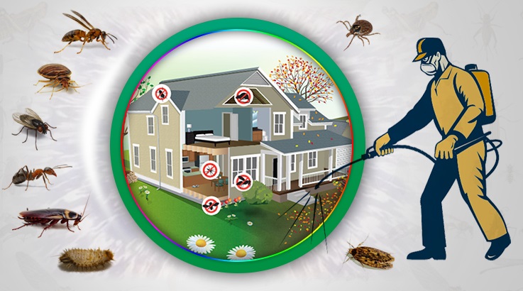 Hocalar Böcek İlaçlama