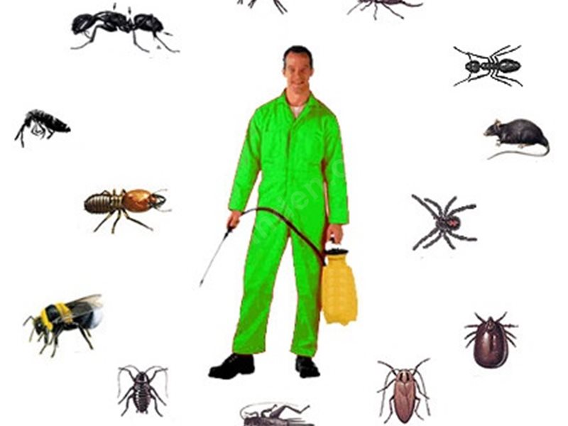 Hocalar Böcek İlaçlama