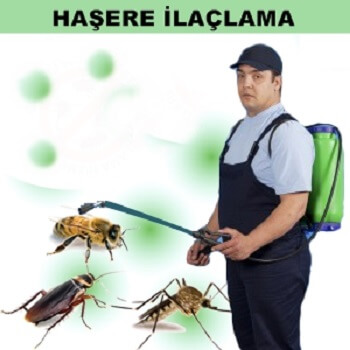 Hocalar Böcek İlaçlama